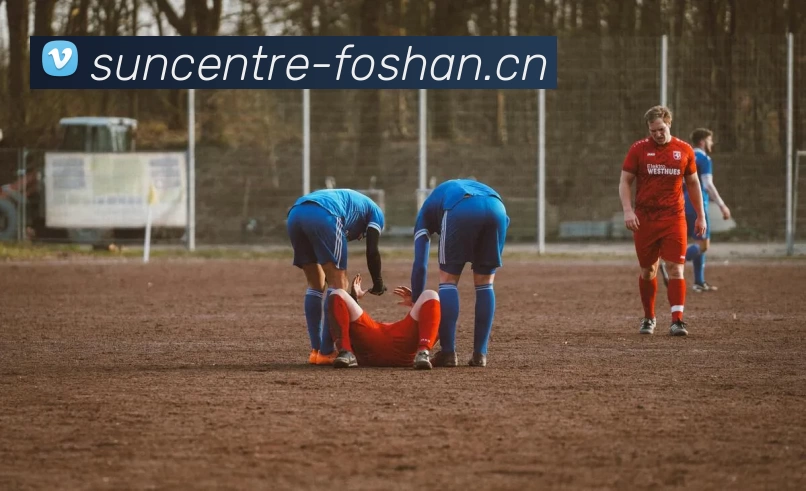 多媒体互动体验